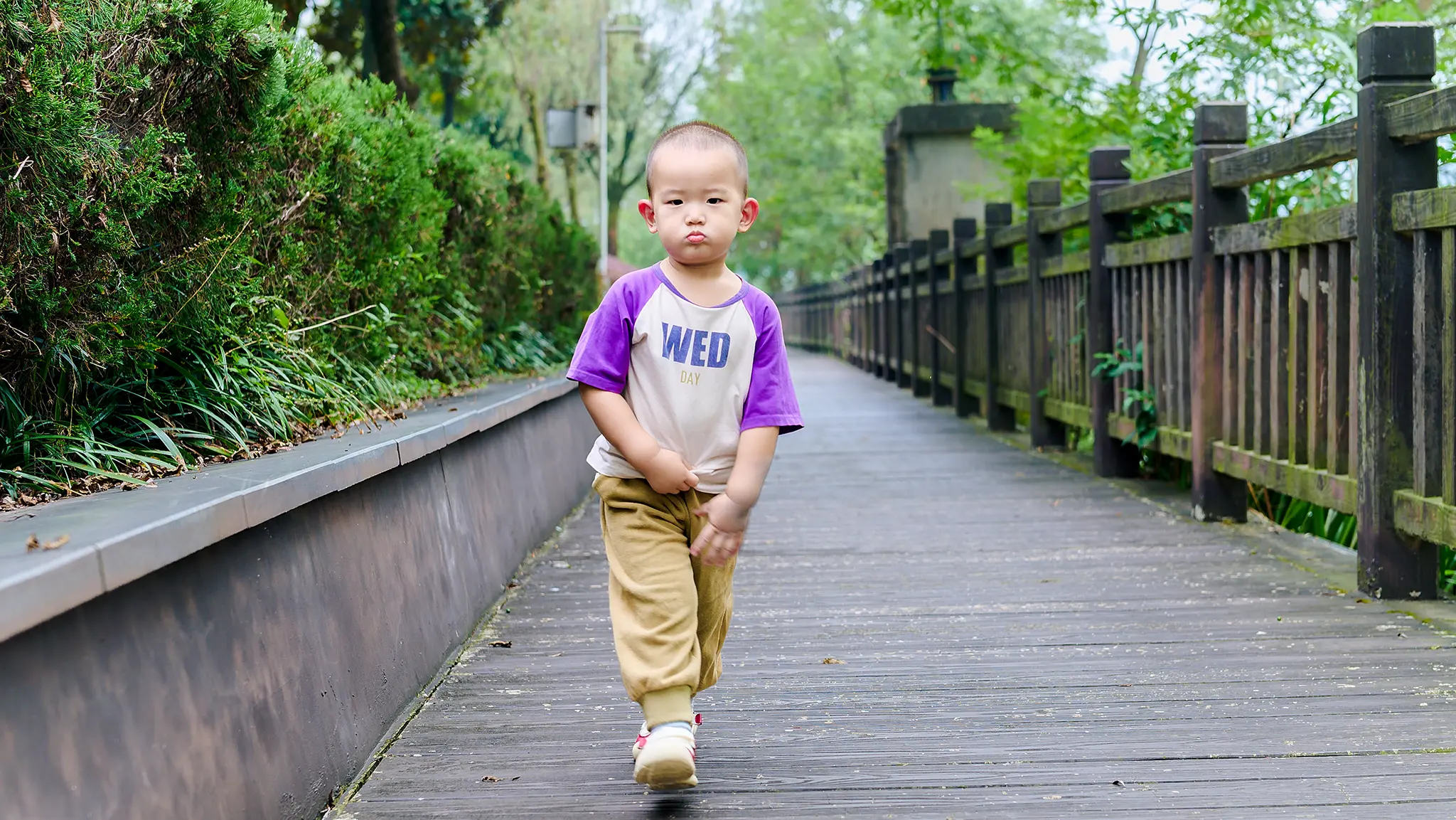_HYP7526_(2) 拷贝-gotdmosx.webp